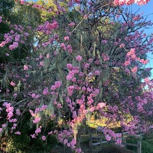 Meet your Posher, Rumyana